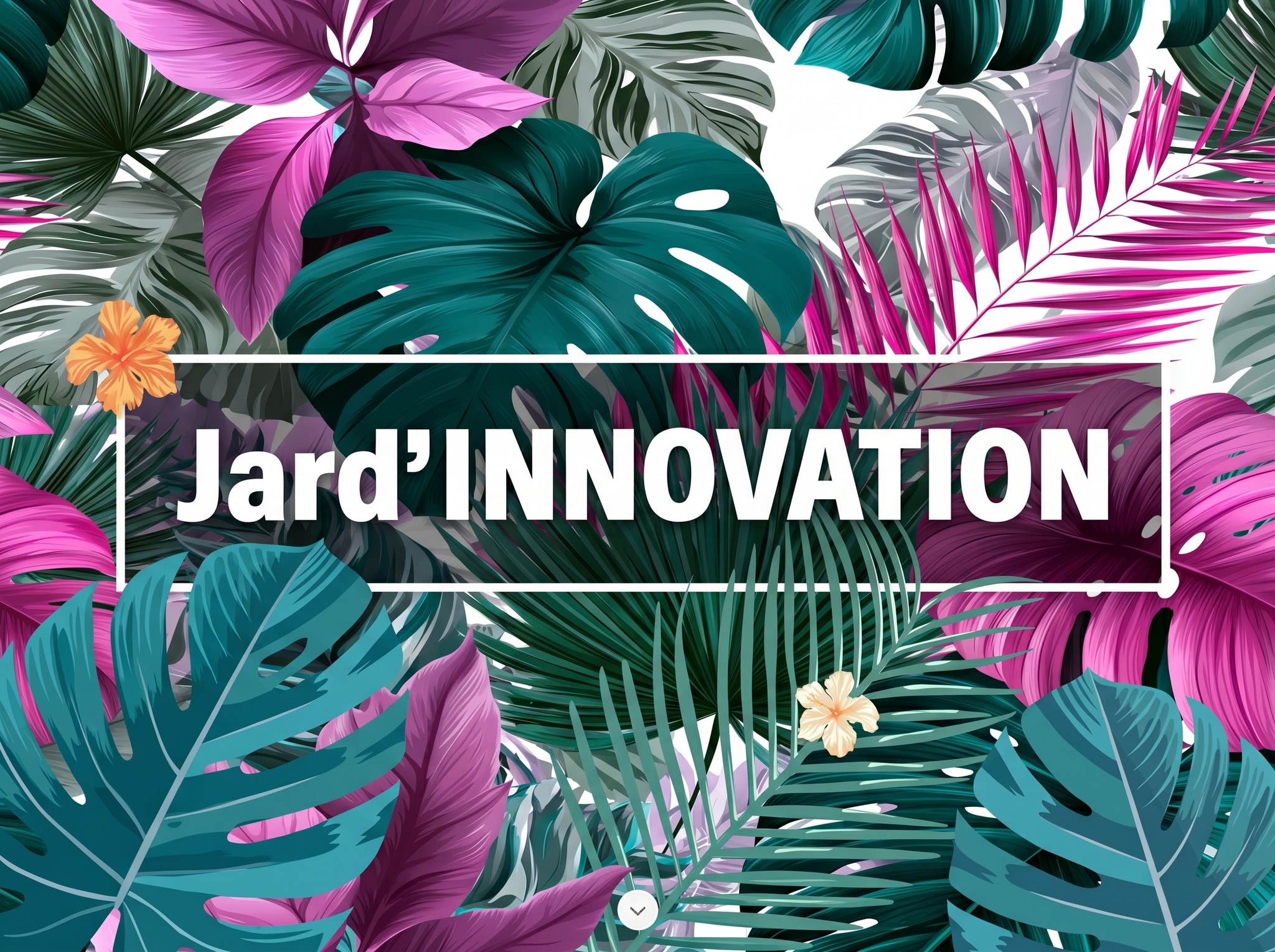Jardiland — visuel 9