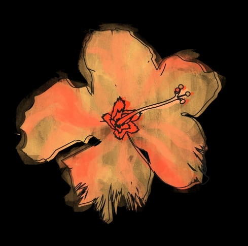 Jardiland — élément 3