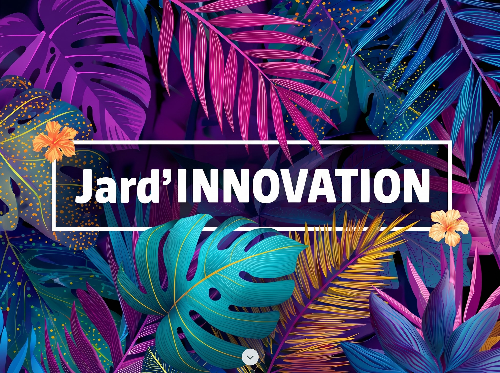 Jardiland — visuel 5