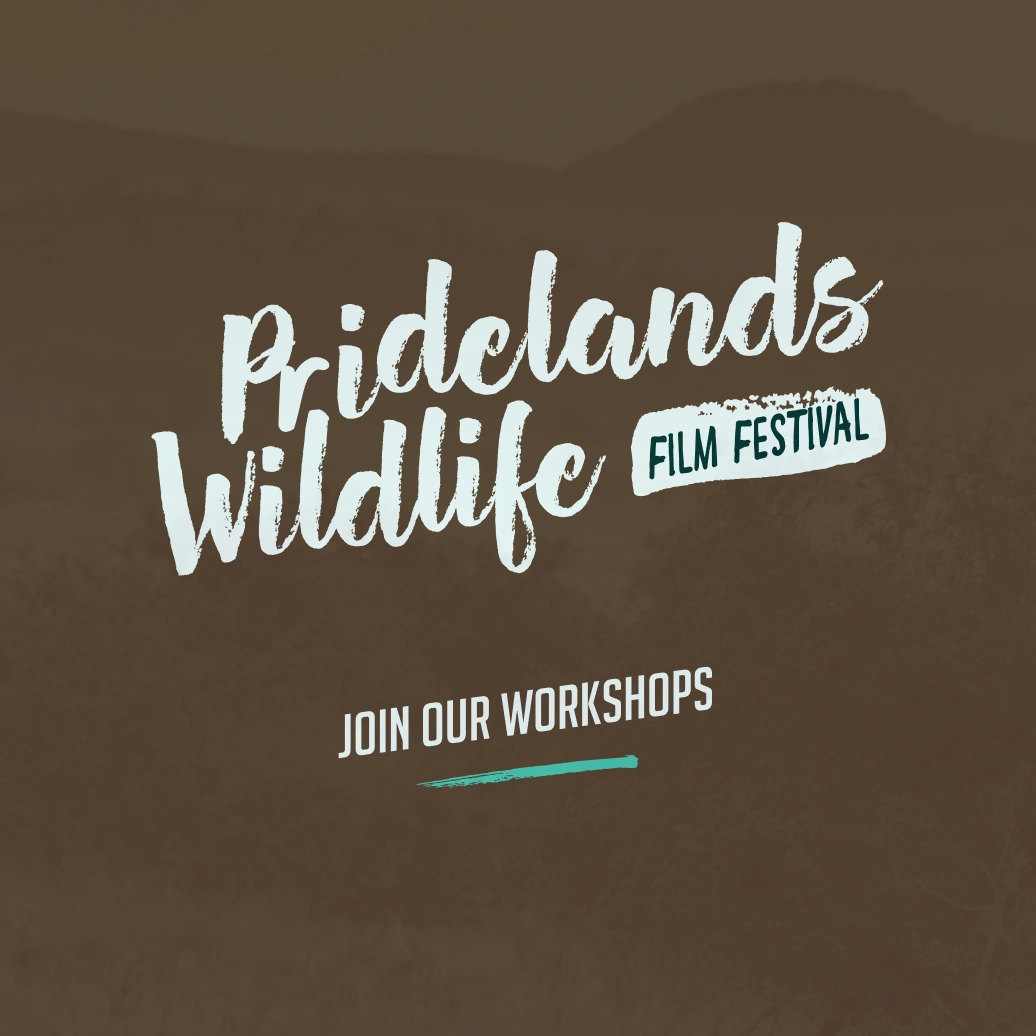 Pridelands Wildlife Film Festival — visuel 3