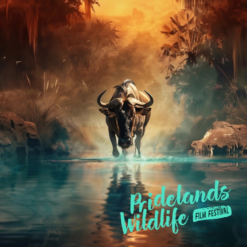Pridelands Wildlife Film Festival — visuel 4
