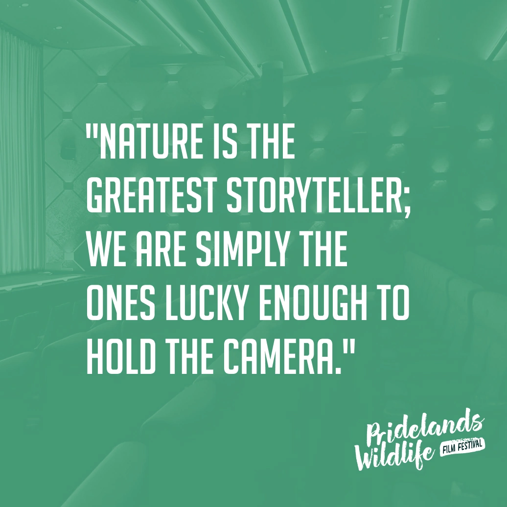 Pridelands Wildlife Film Festival — visuel 5