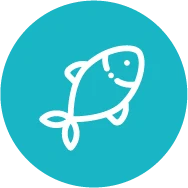 ListEat — visuel 8