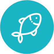 ListEat — visuel 8